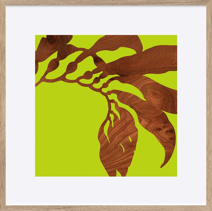paper_frame