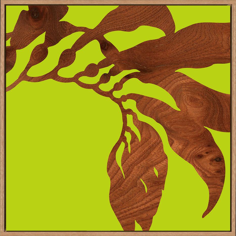 canvas_frame
