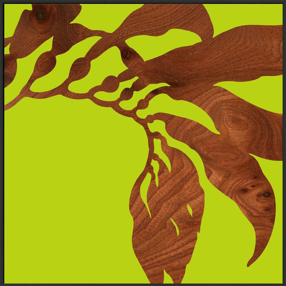 canvas_frame