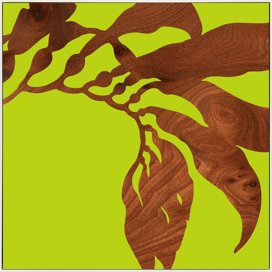 canvas_frame