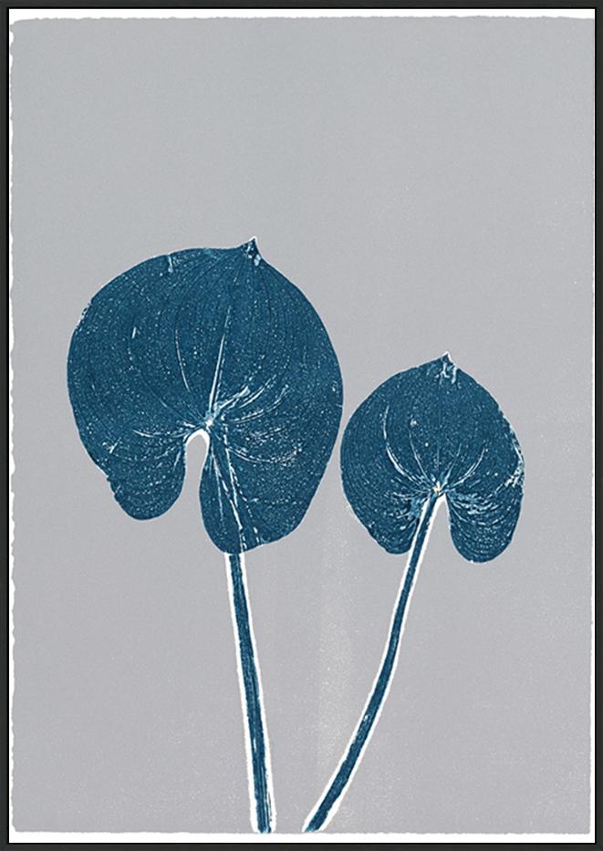 canvas_frame