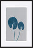 paper_frame