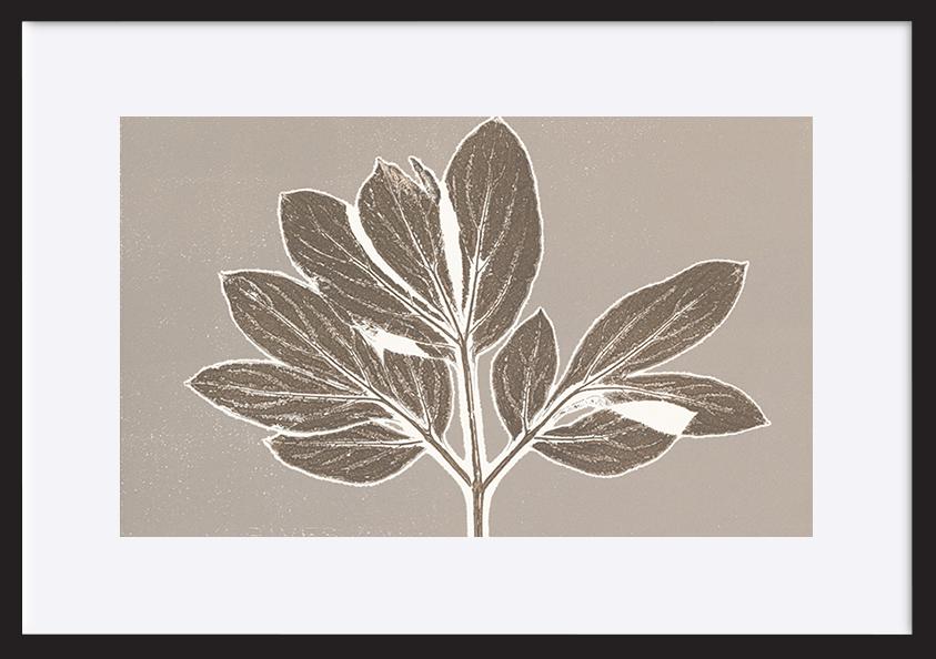 paper_frame