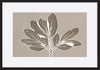 paper_frame