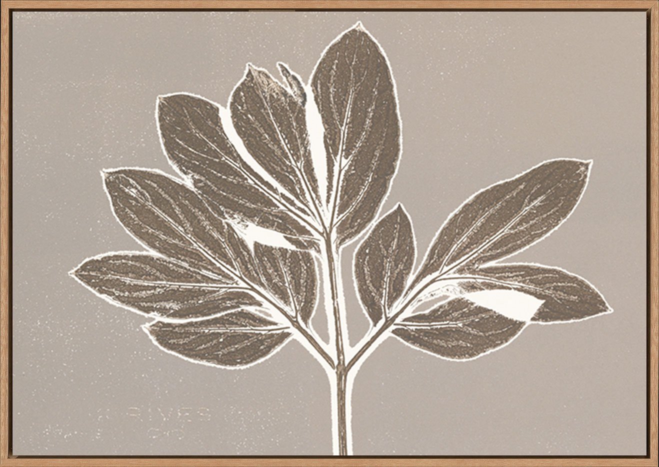 canvas_frame