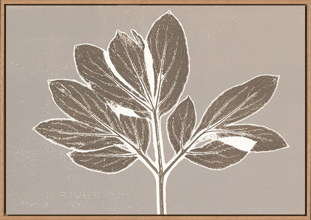 canvas_frame