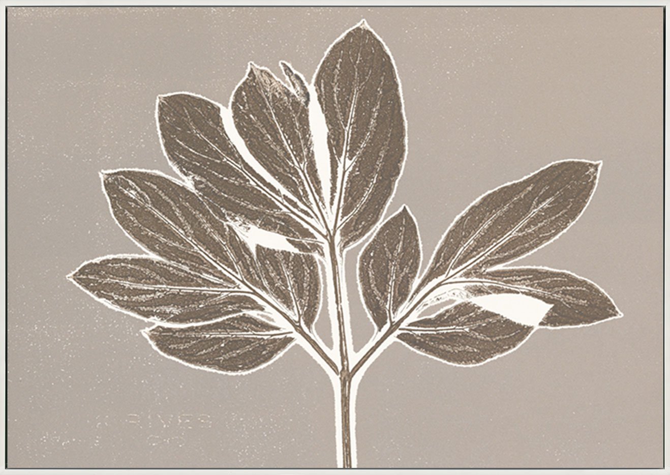 canvas_frame