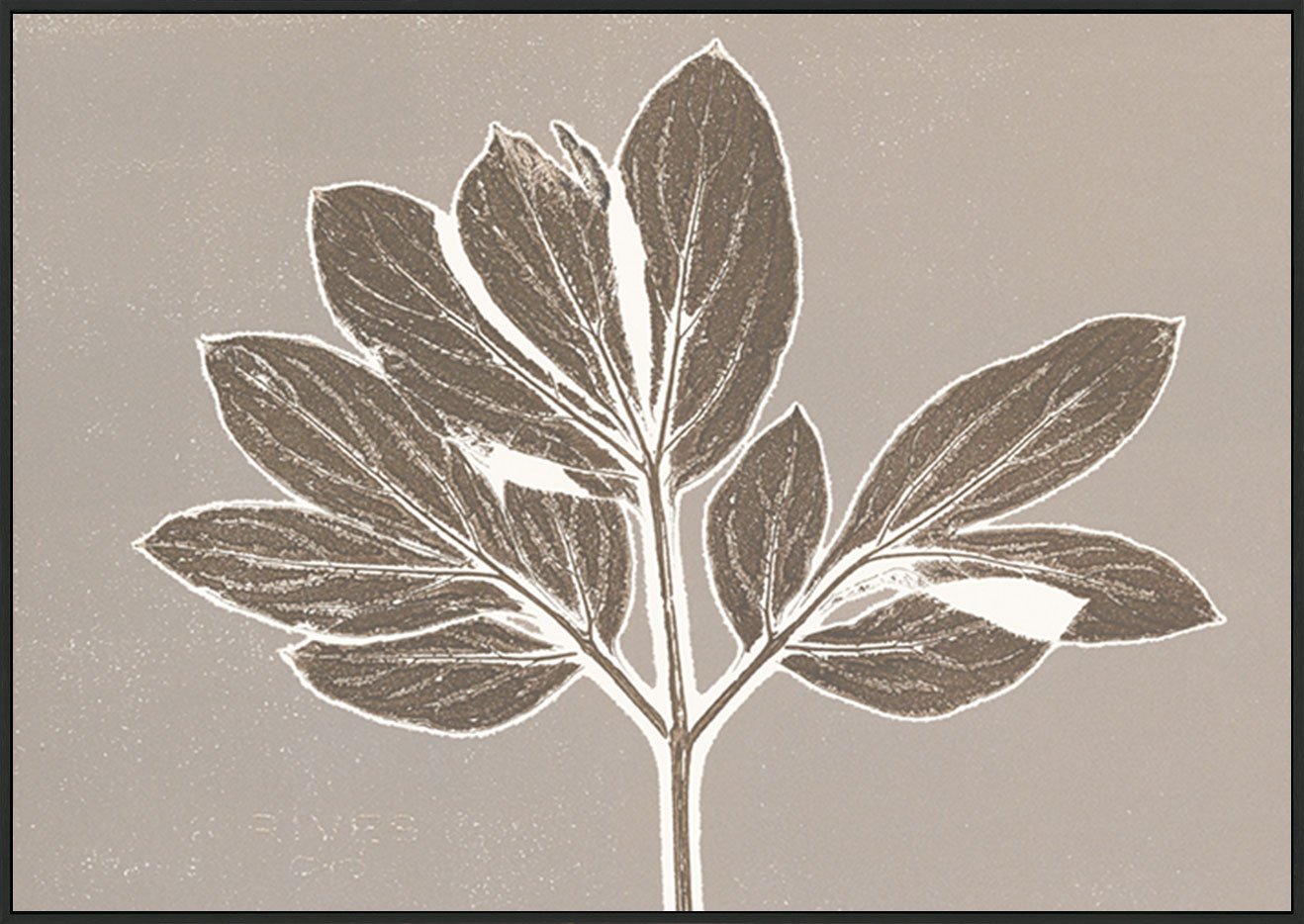 canvas_frame