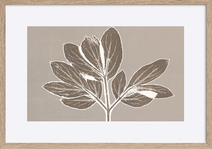 paper_frame