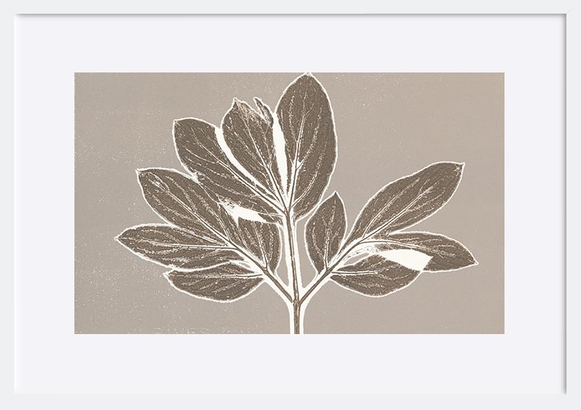 paper_frame