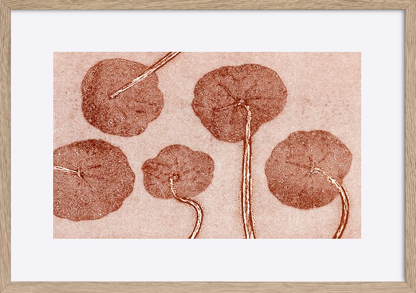 paper_frame