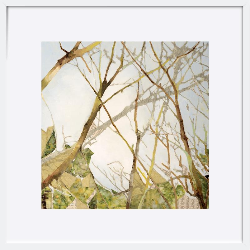 paper_frame
