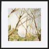 paper_frame