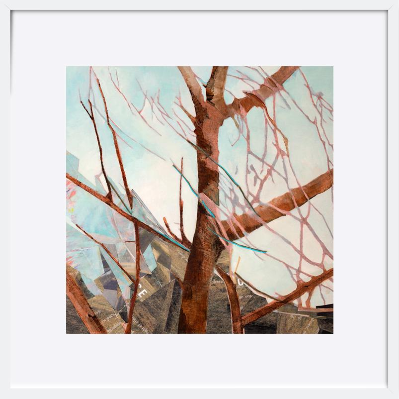 paper_frame