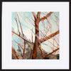 paper_frame