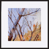 paper_frame
