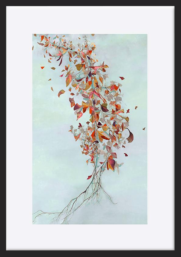 paper_frame