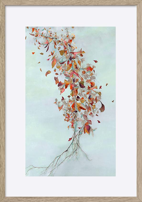 paper_frame