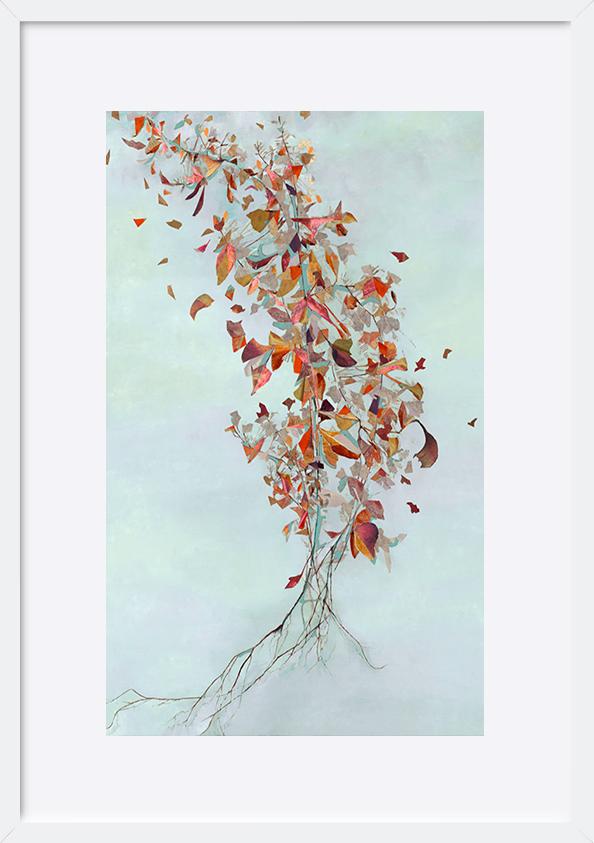 paper_frame