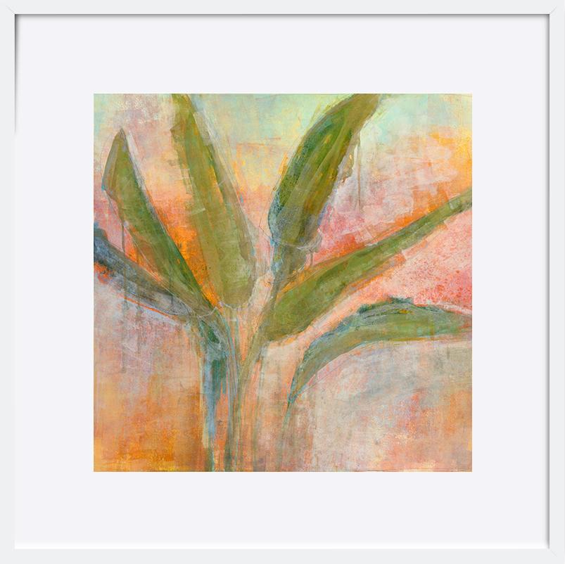 paper_frame