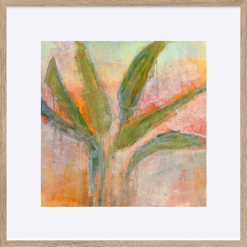 paper_frame