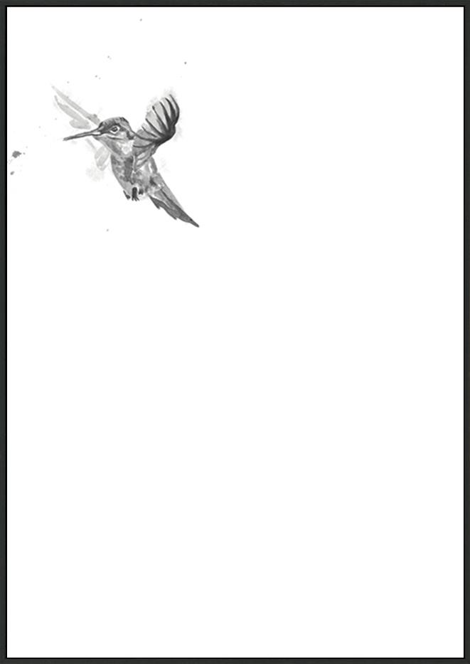 canvas_frame