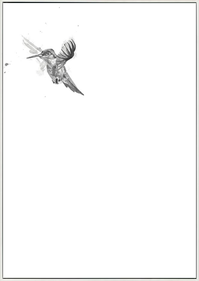 canvas_frame