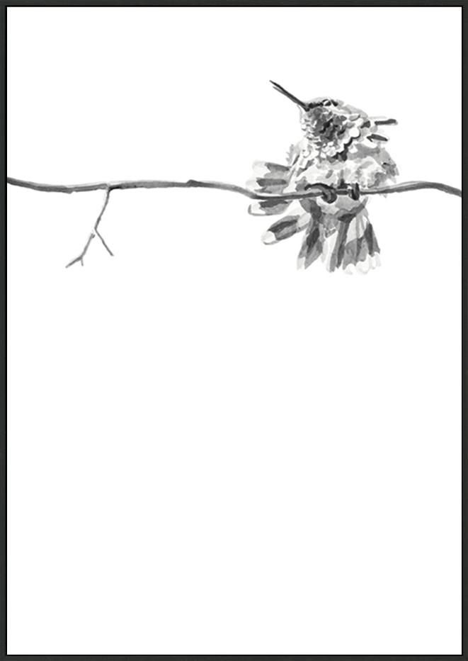 canvas_frame