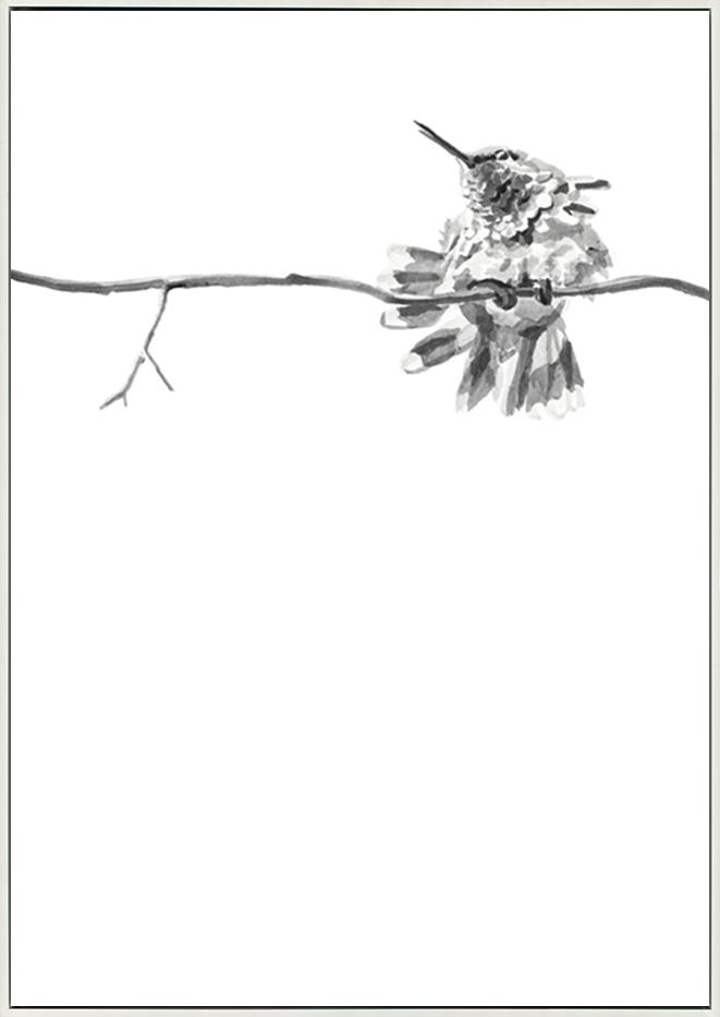 canvas_frame