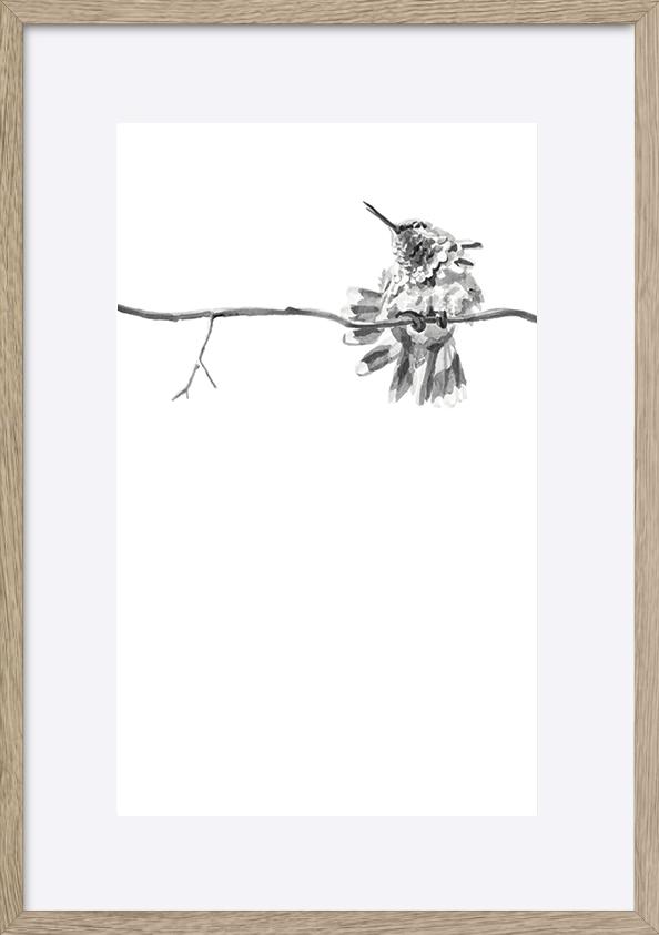 paper_frame