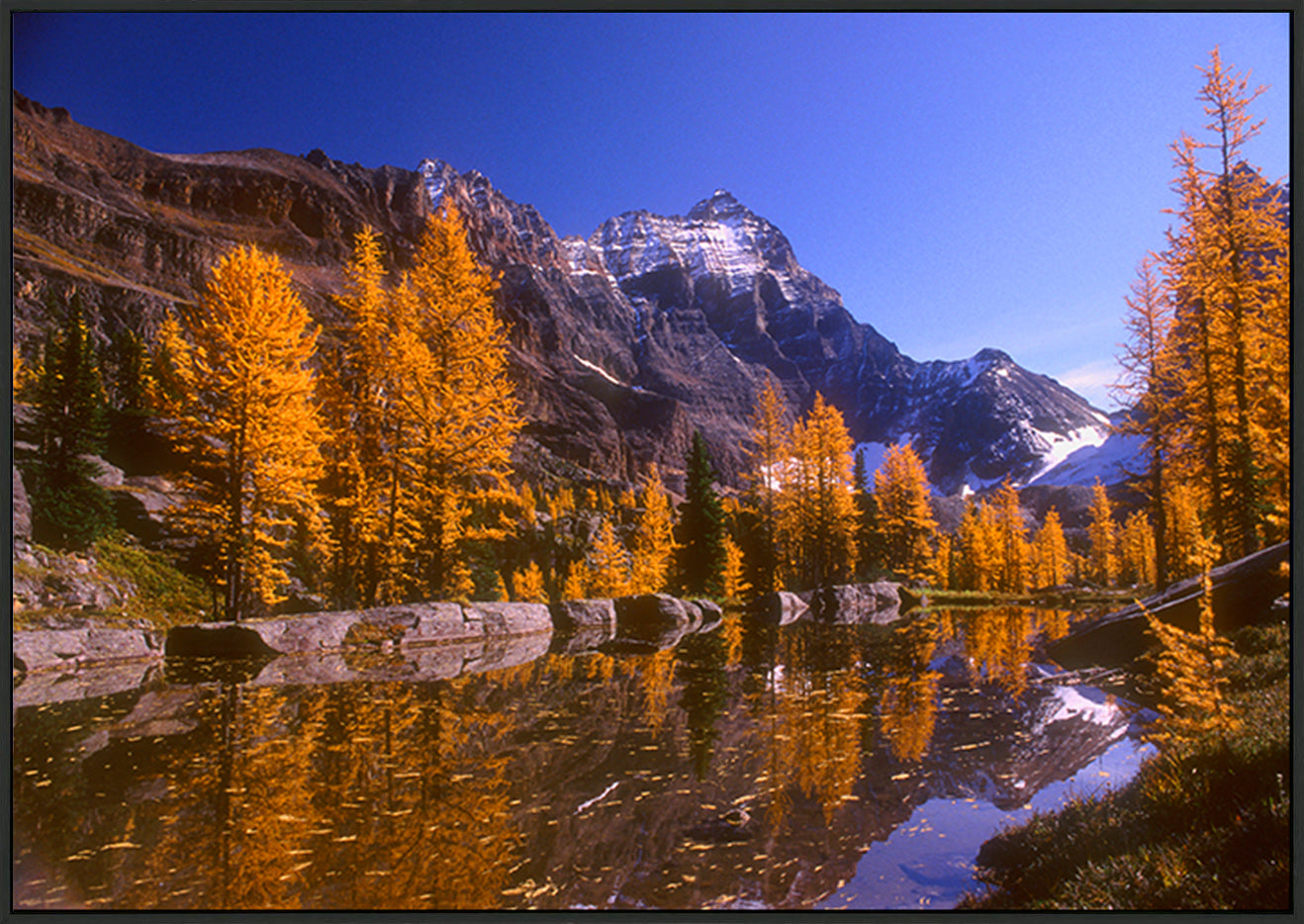 canvas_frame