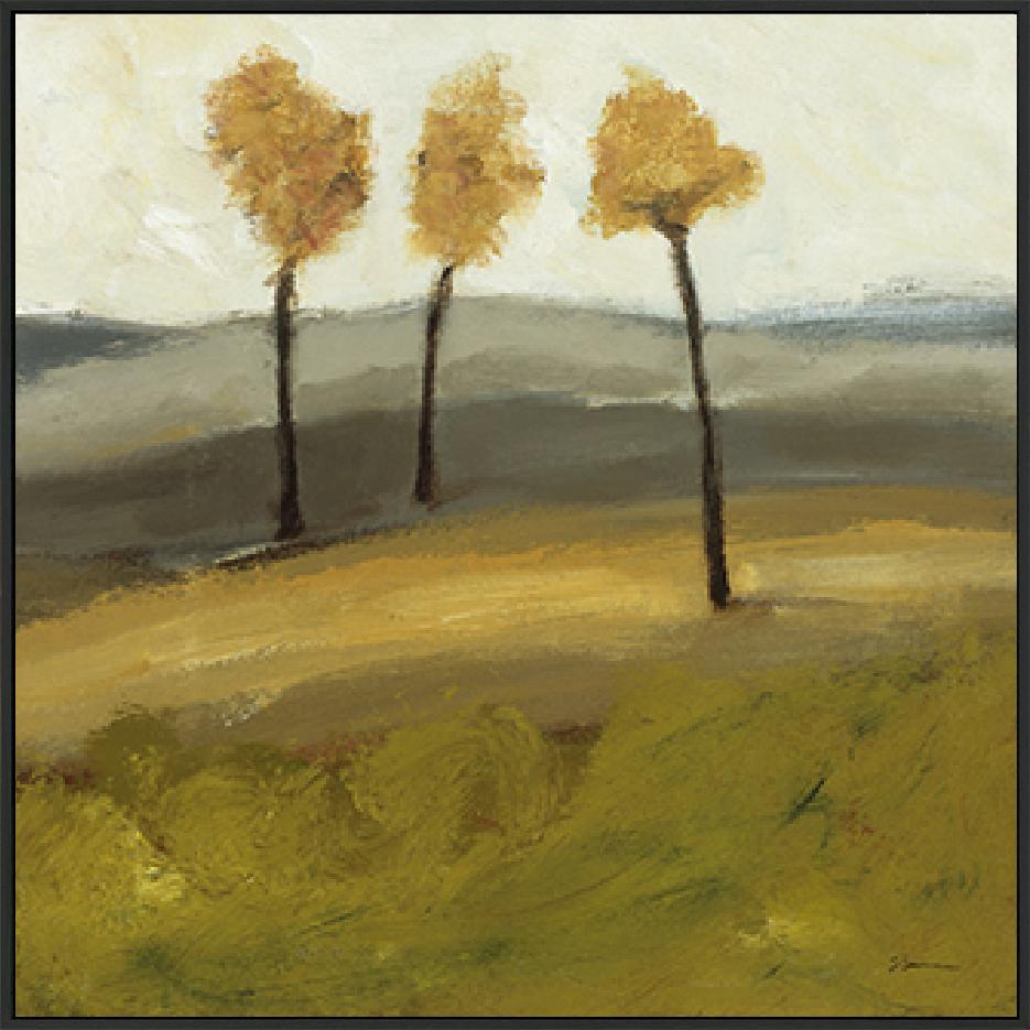 canvas_frame
