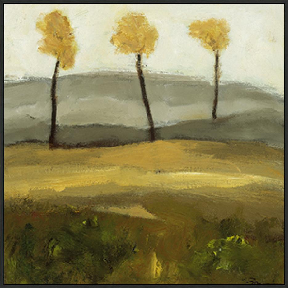 canvas_frame