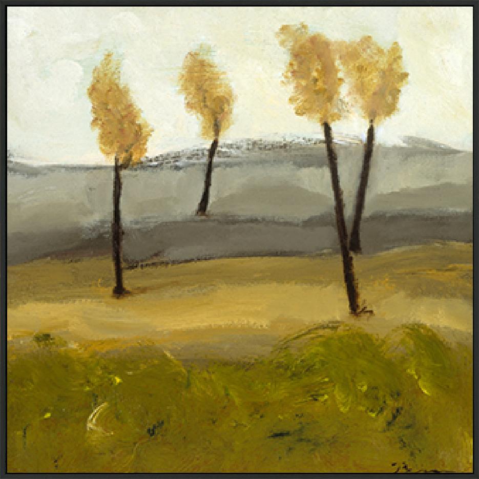 canvas_frame
