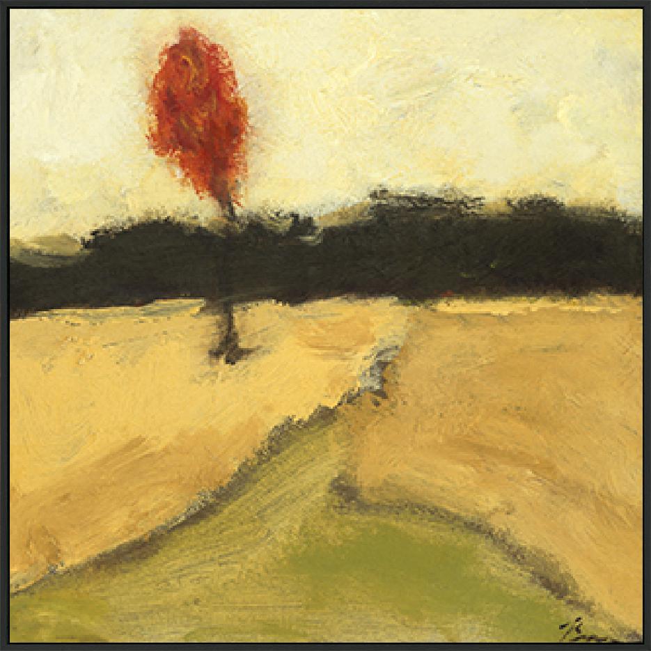 canvas_frame