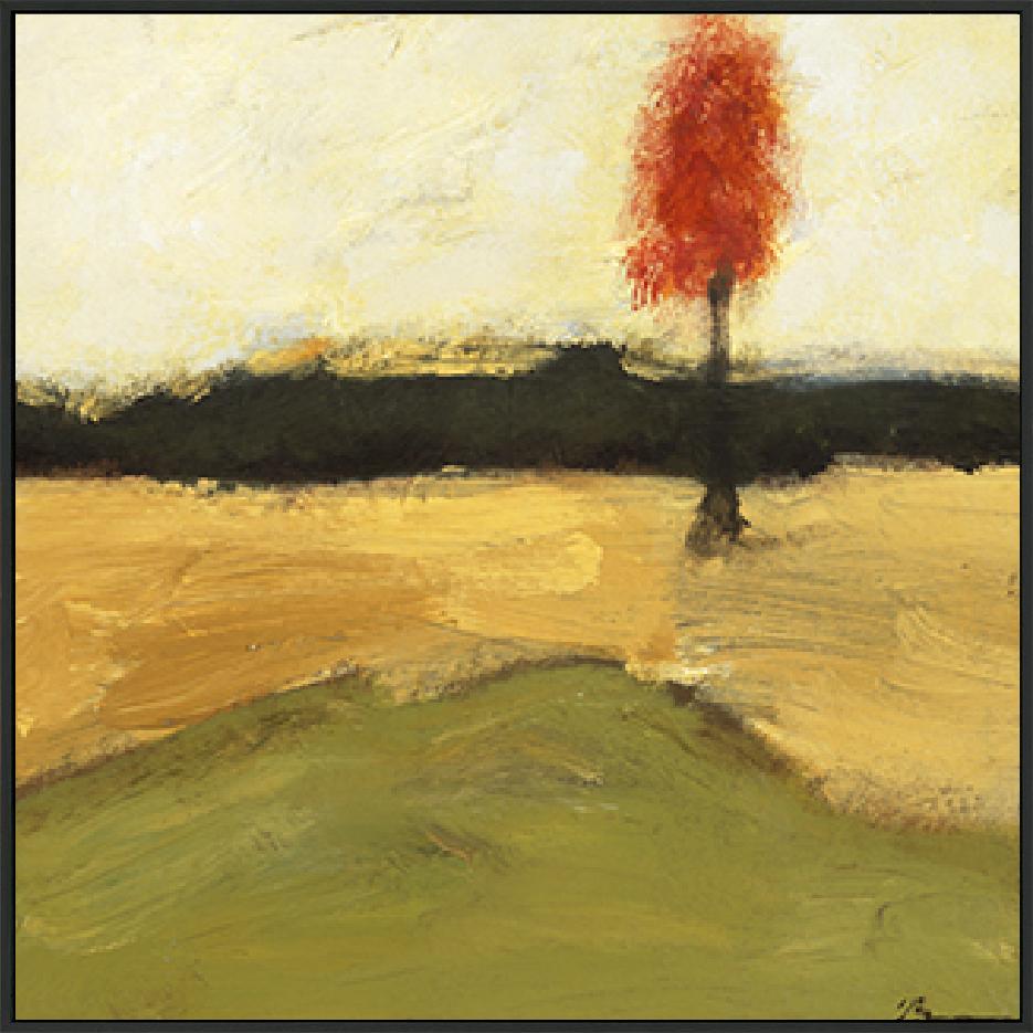 canvas_frame