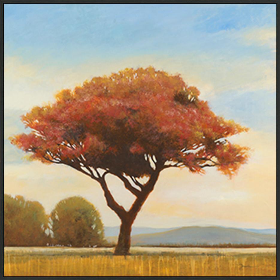 canvas_frame