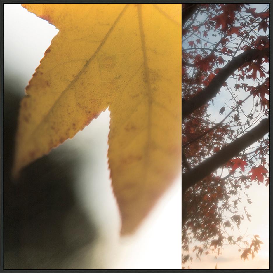 canvas_frame