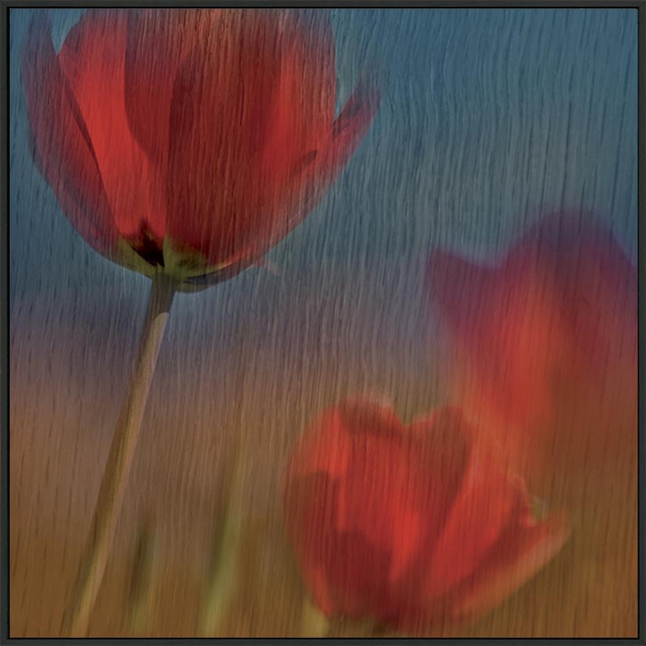 canvas_frame