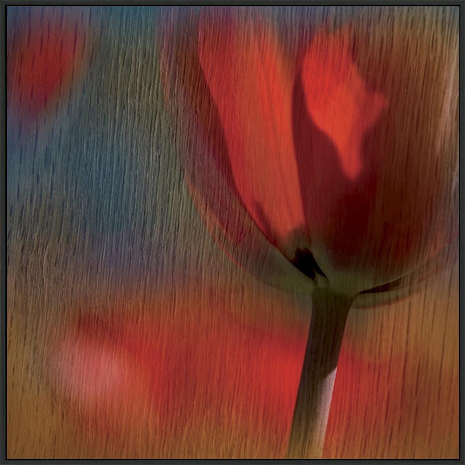 canvas_frame