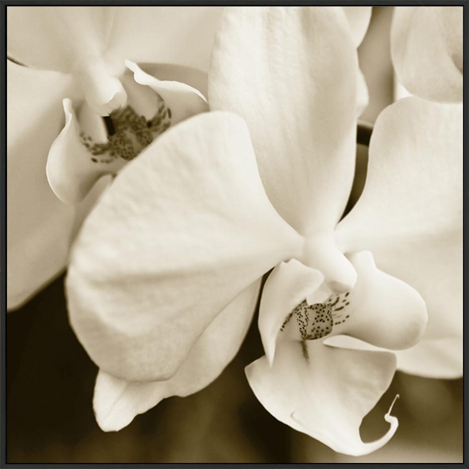 canvas_frame