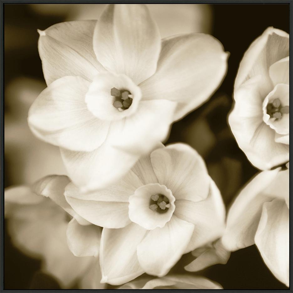canvas_frame