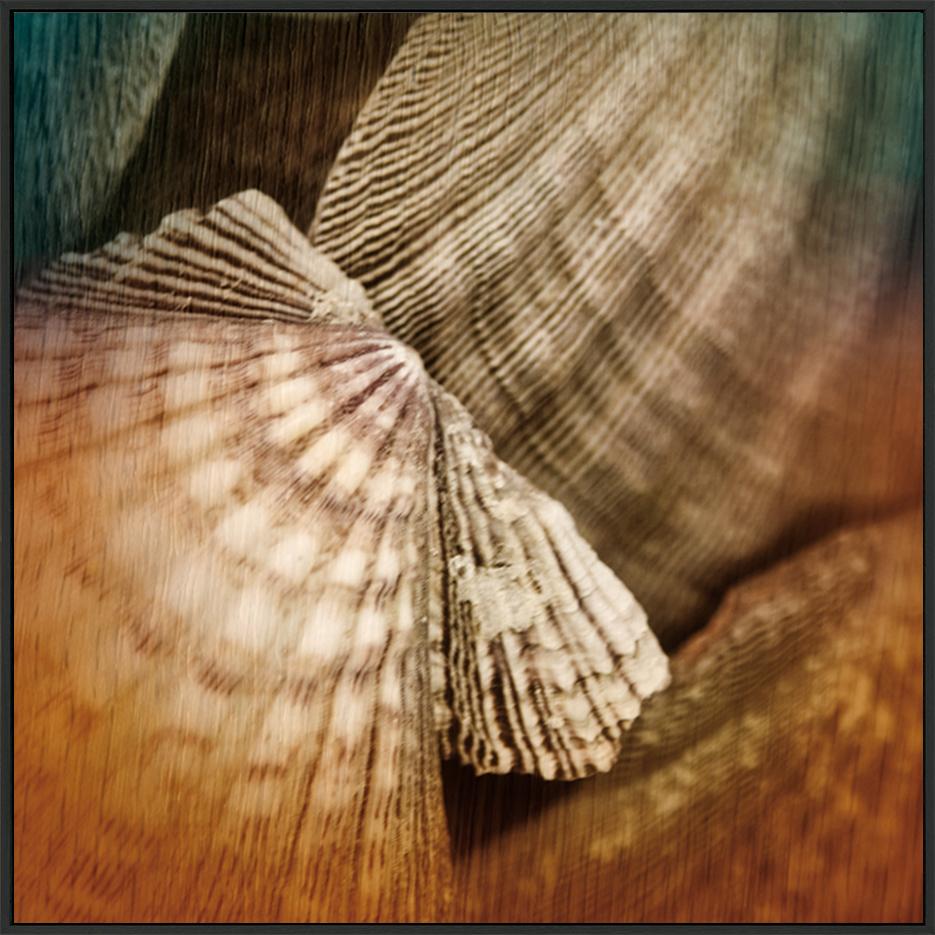 canvas_frame