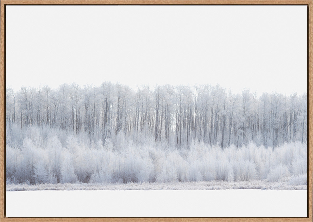 canvas_frame