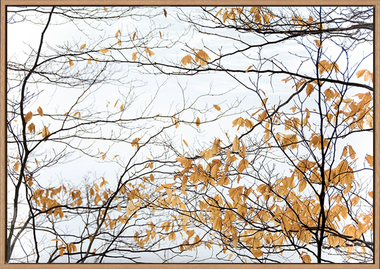 canvas_frame