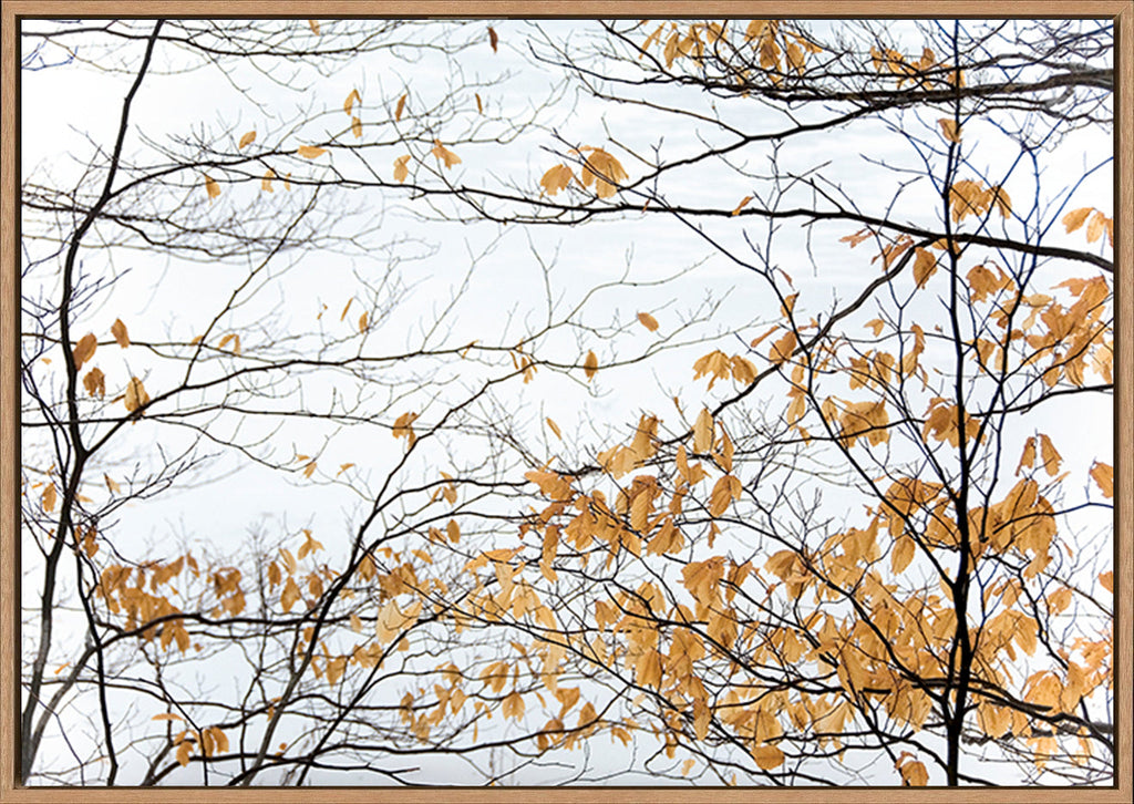 canvas_frame