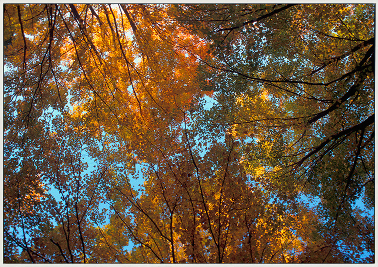 canvas_frame