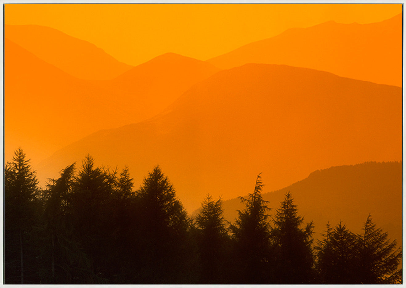 canvas_frame