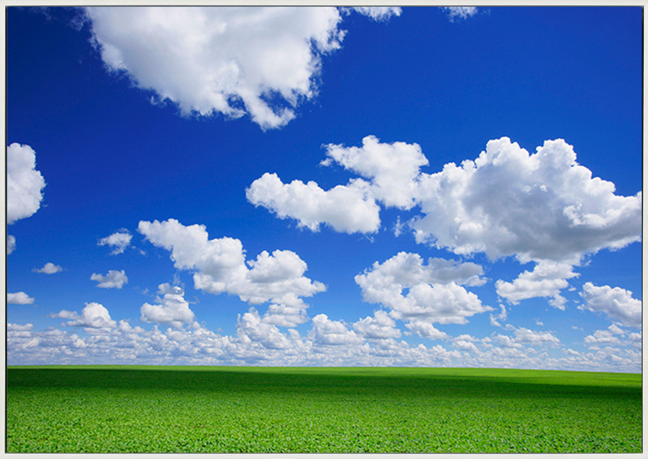 canvas_frame