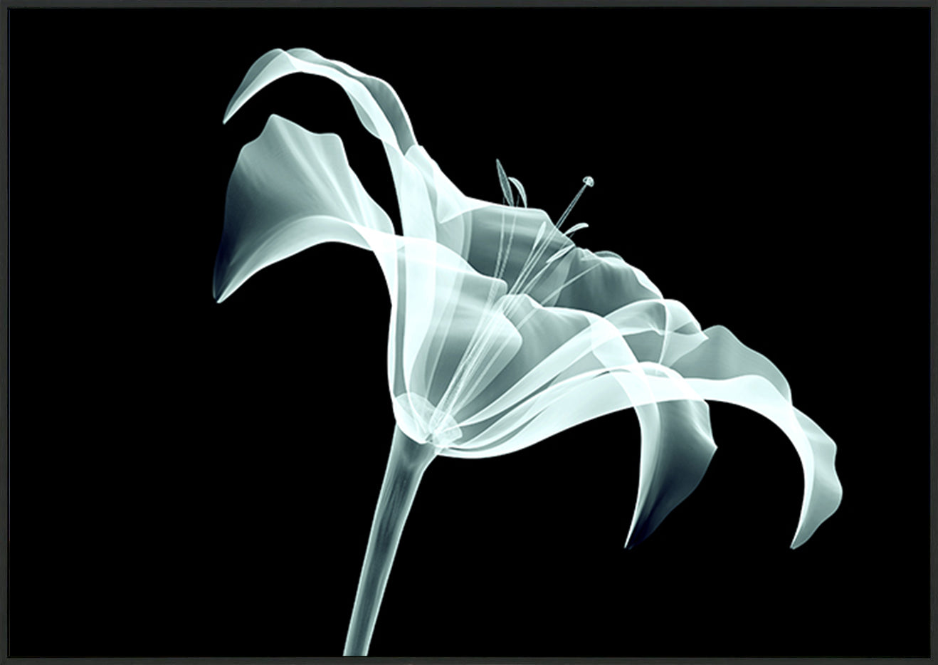 canvas_frame